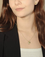 Load image into Gallery viewer, Leo Fluorite Zodiac Energy Necklace