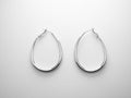 Flat Hoops Earrings